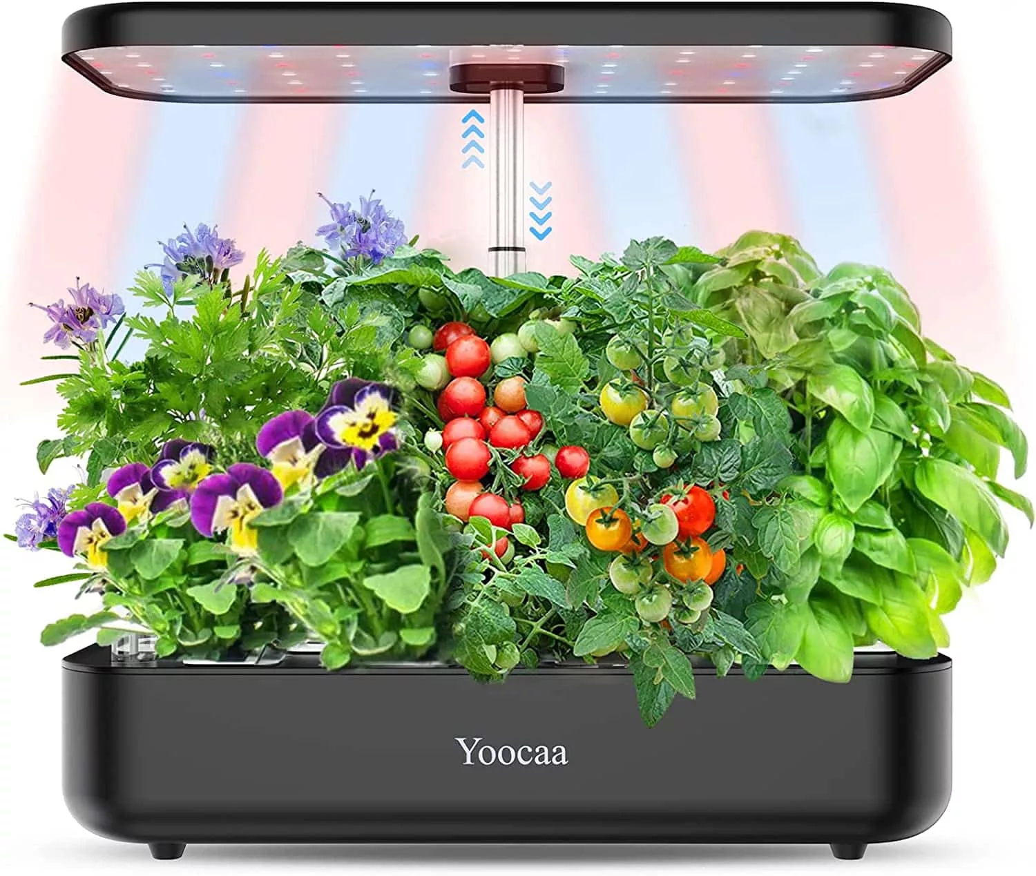 AeroGarden - Kräutergarten im 21. Jahrhundert