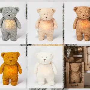 Teddybär Lampe