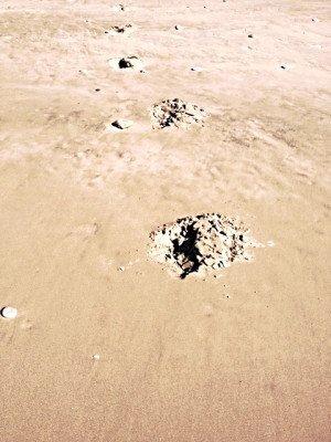 Sind das echt Drachenspuren im Sand?