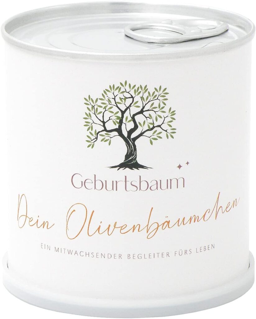Geburtsbaum Pflanzset