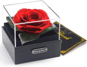 Rose in einer Geschenkbox