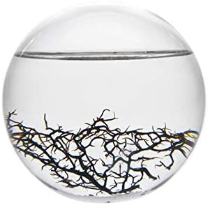 EcoSpheren - Leben in einer Glaskugel