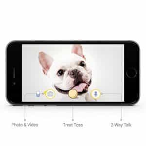 Hundekamera mit Smartphoneausgabe