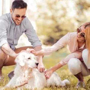 Kurzurlaub mit dem Hund für 2