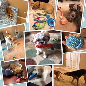 Spielzeug für kleine und mittelgroße Hunde
