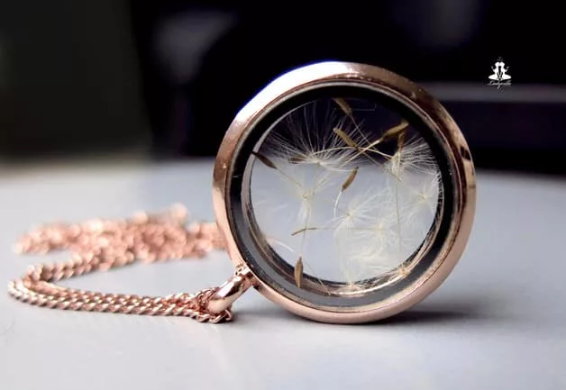 Kette Roségold-Medaillon mit Pusteblumen