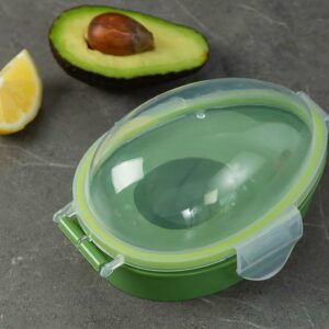 Avocado Frischebox