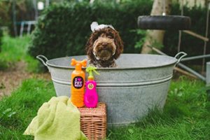 hunde waschen mit Hundeshampoo