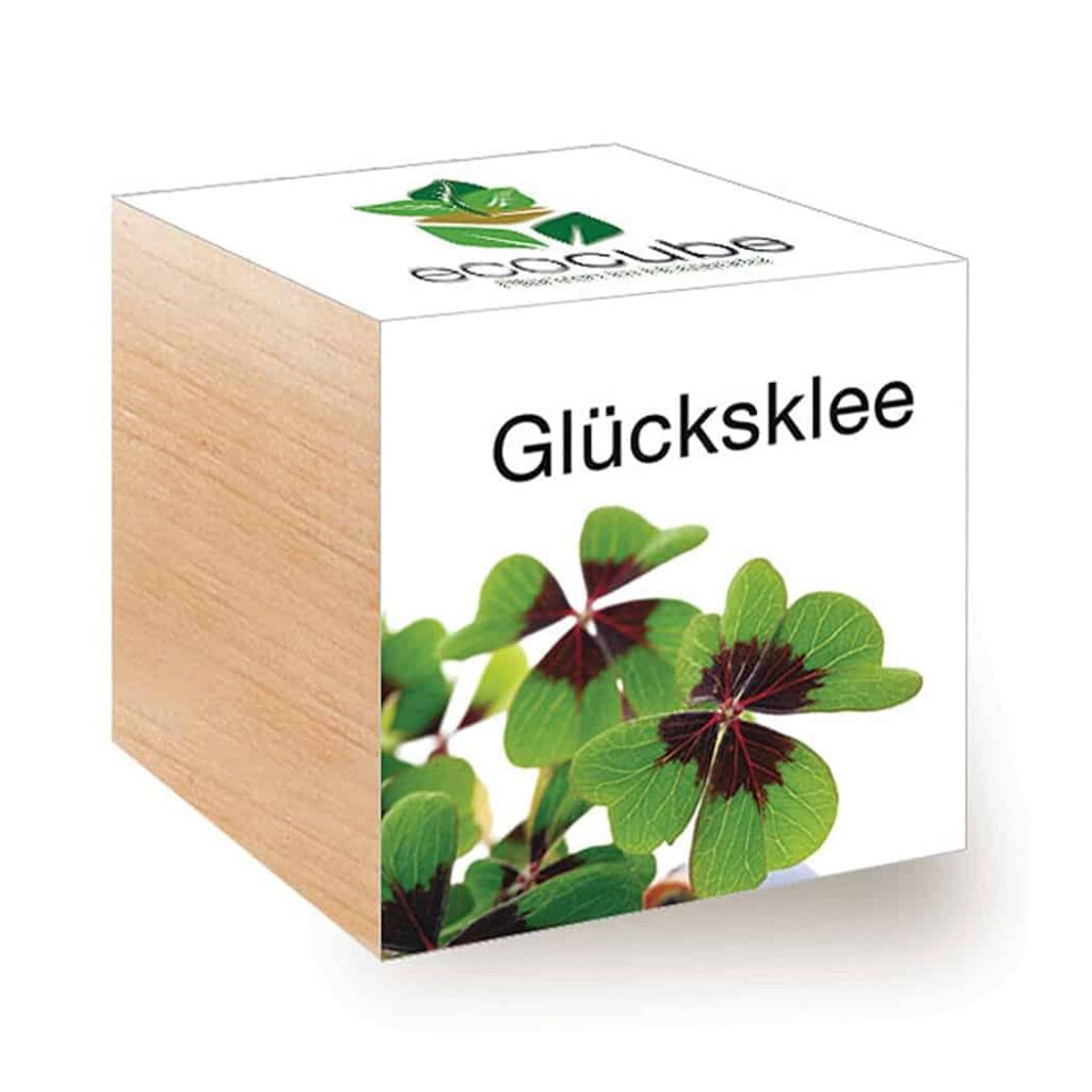 Glücksklee-Würfel