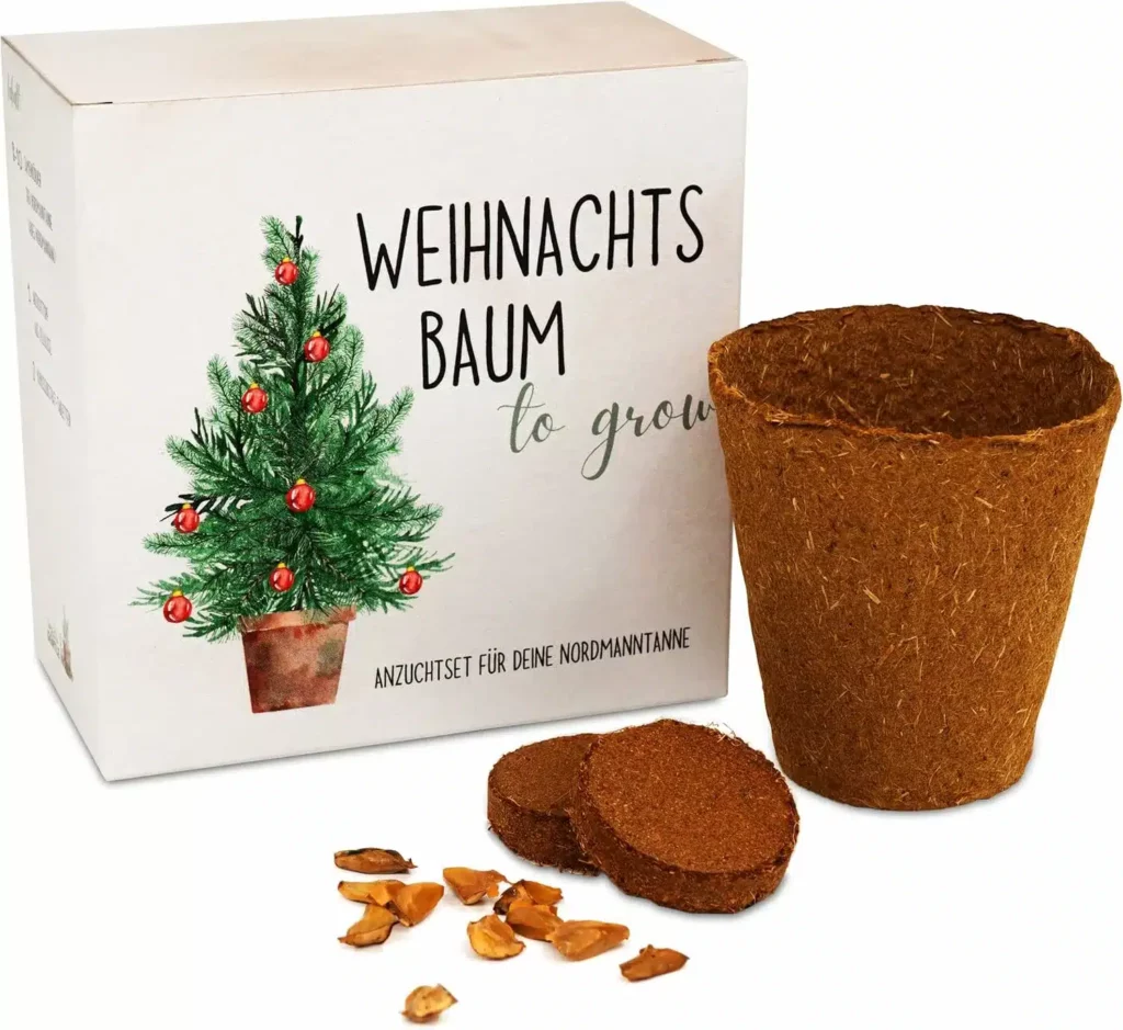 Weihnachtsbaum Anzucht-Set