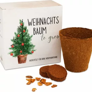 Weihnachtsbaum Anzucht-Set