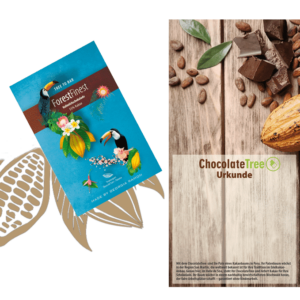Kakaobaum-Patenschaft