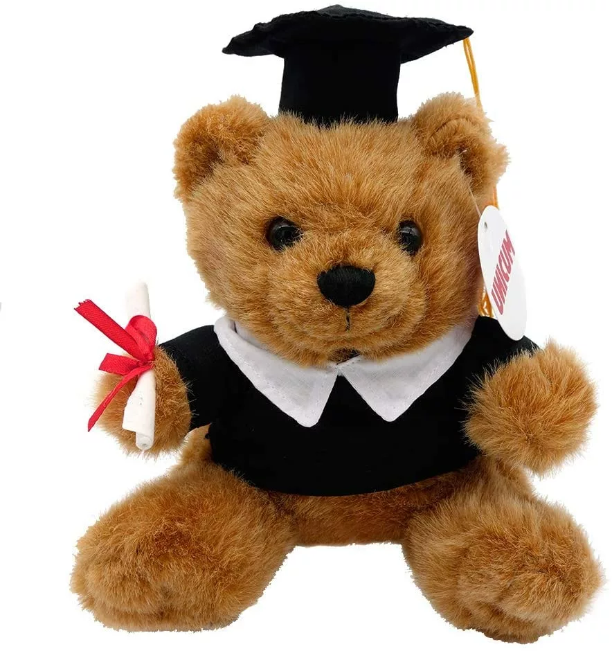 Glückwunsch Teddybär zum Examen