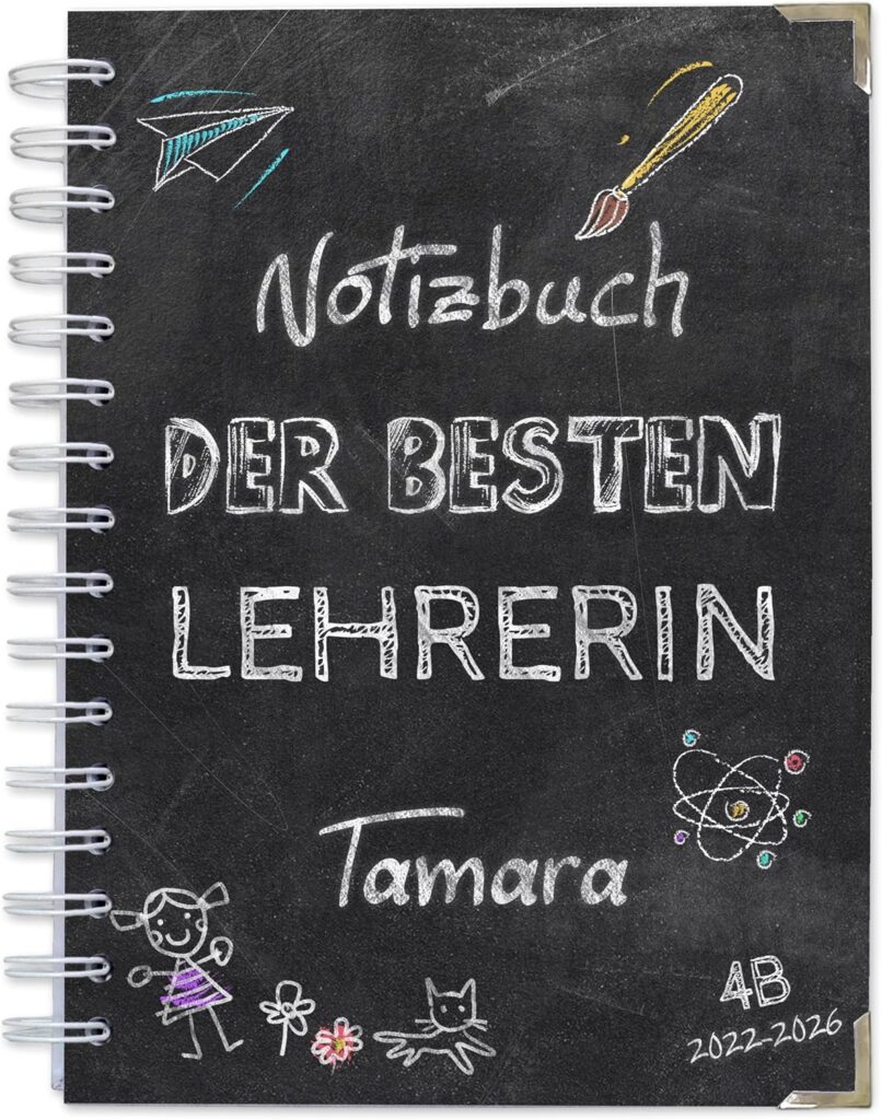 Notizbuch für die Lehrerin - Die einzige Influencerin mit Ausbildung statt Einbildung